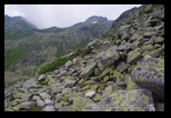 Tatra -Svinica -01-07-2015 - Bogdan Balaban
